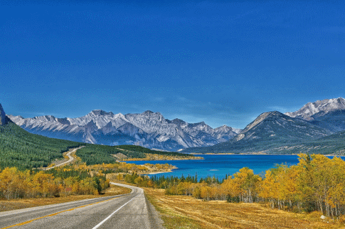 David Thompson (Abraham Lake)